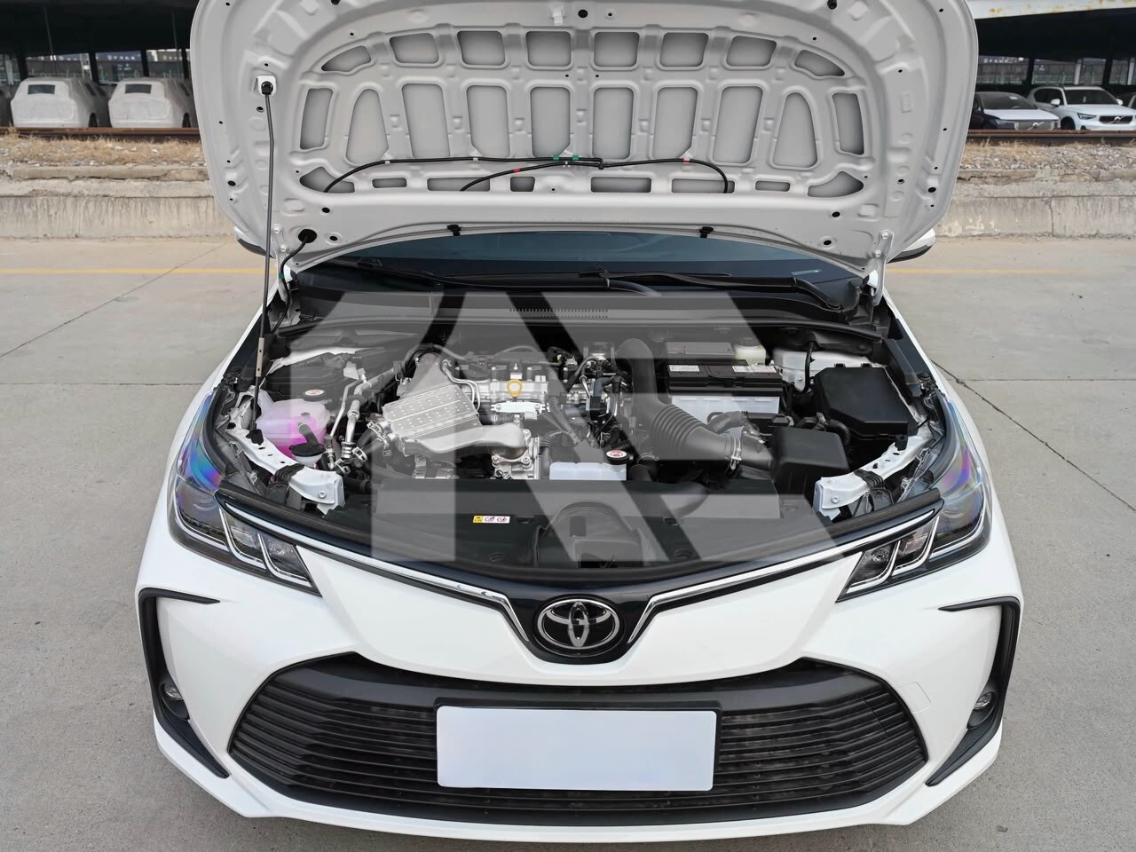 Toyota Corolla photo 12