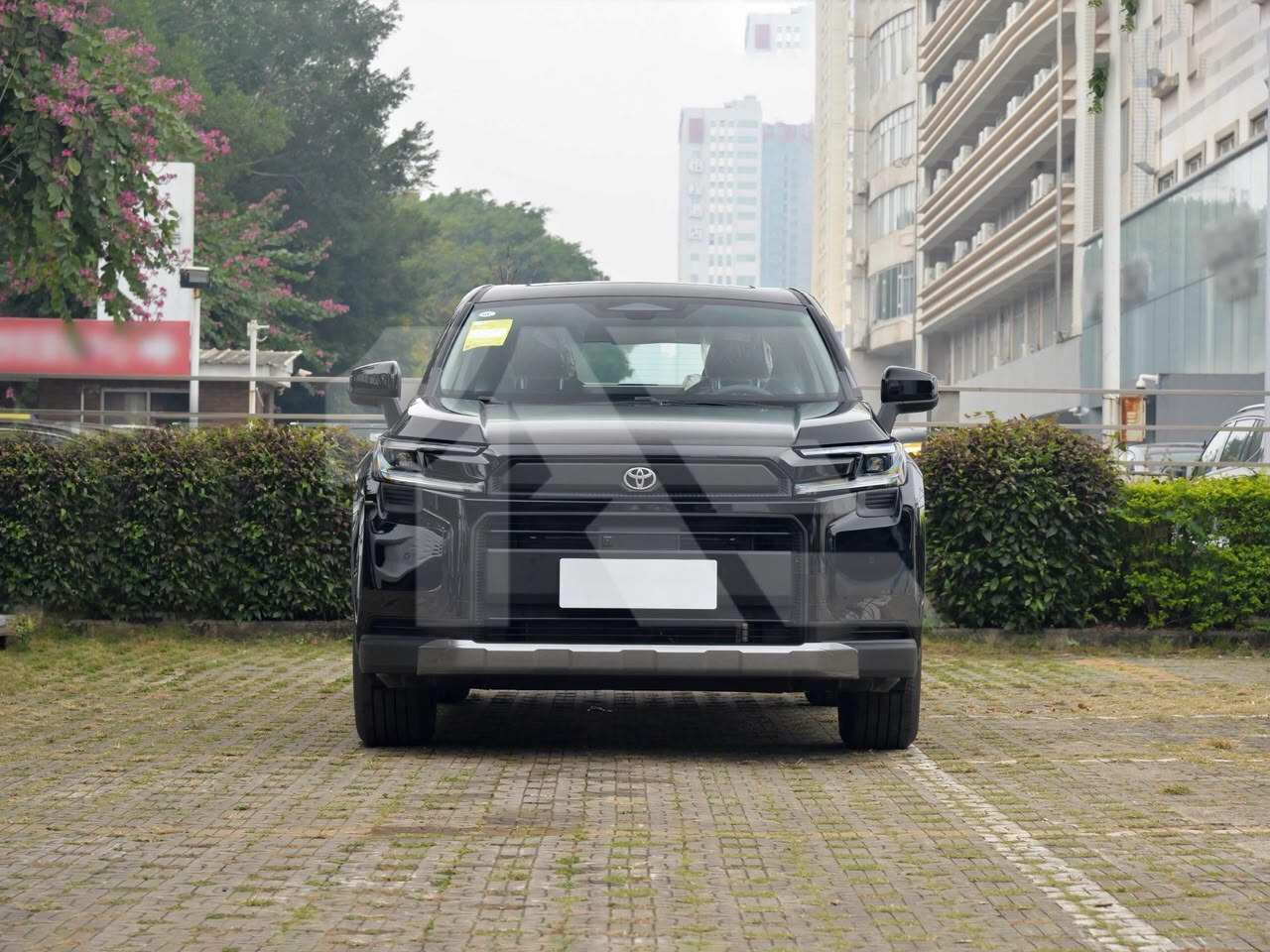 Toyota RAV4 Hybrid photo 2