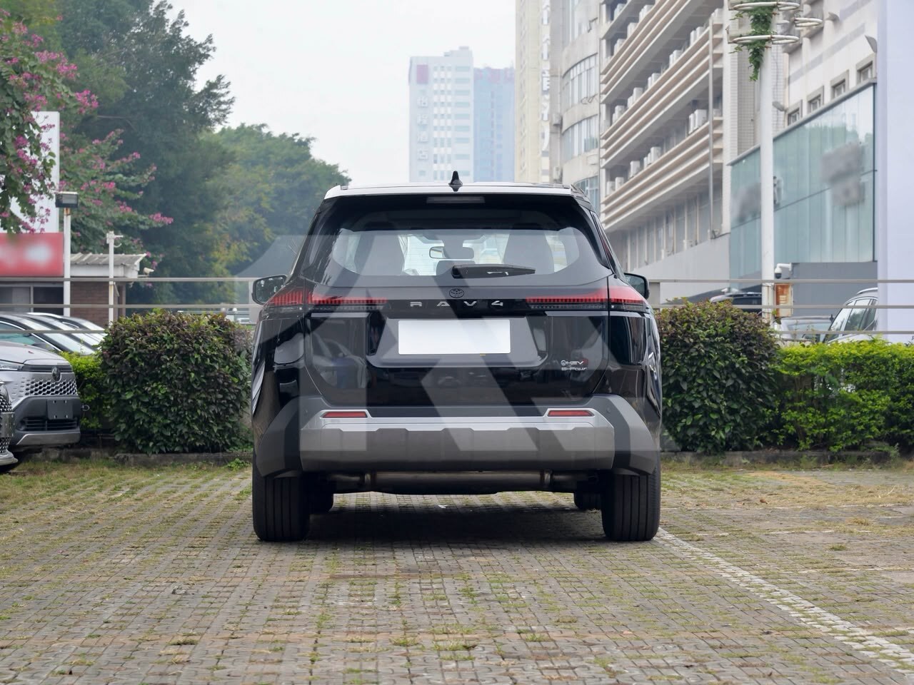 Toyota RAV4 Hybrid photo 6