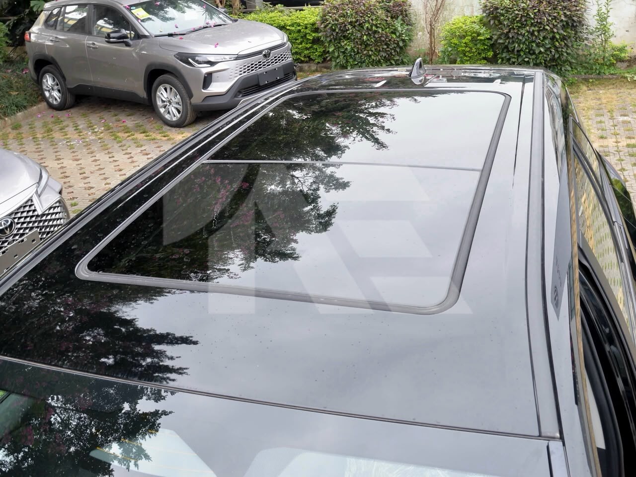 Toyota RAV4 Hybrid photo 12